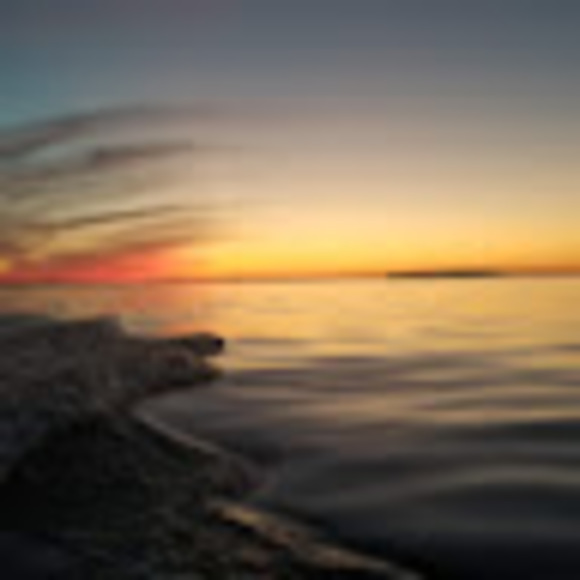 Meet your Posher, Alicia - Picture 1 of 1